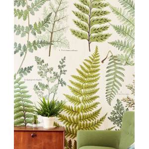 Papier peint Herbarium