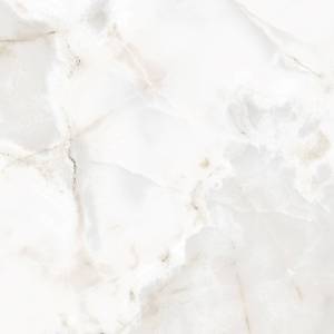 Plinthe Reve de Rex  Glossy