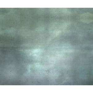 Panoramique Sea Mists