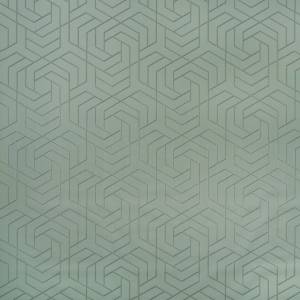 Papier Peint Hexagon Trellis
