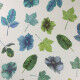 Papier peint Woodland